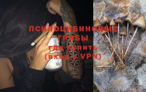 гидропоника Лихославль