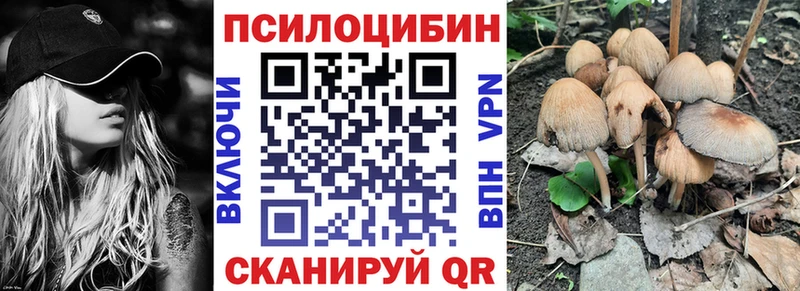 продажа наркотиков  kraken сайт  Псилоцибиновые грибы Cubensis  Электроугли 